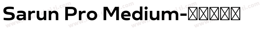 Sarun Pro Medium字体转换